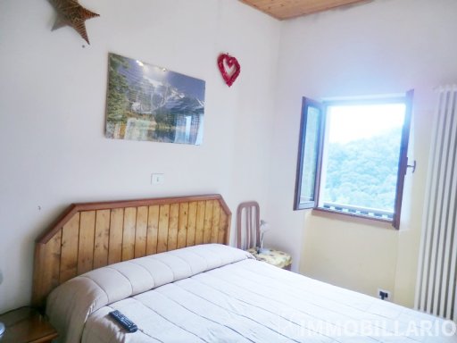 Casa con terreno in collina Dongo 4