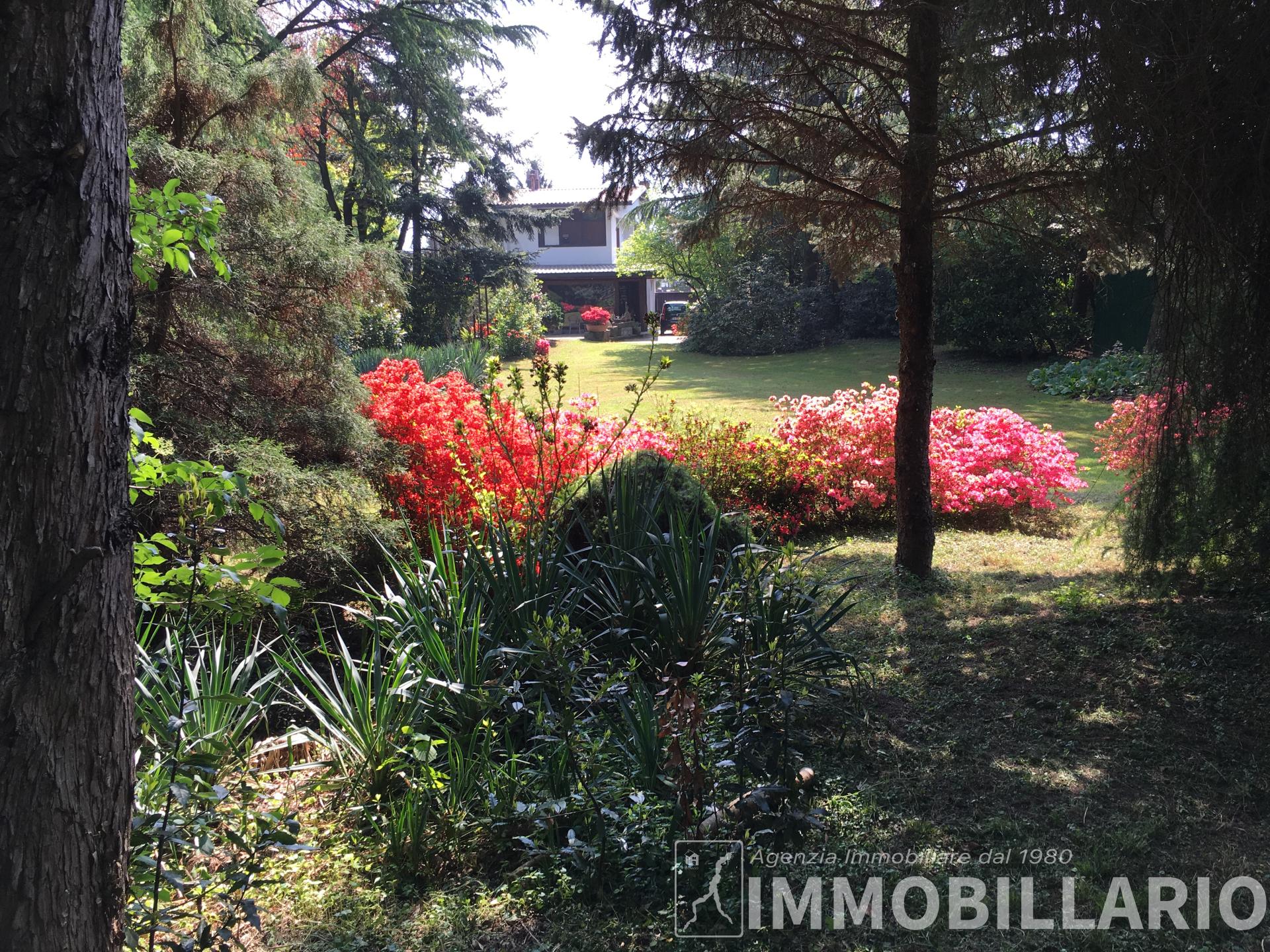 Villa sul lago Gera Lario 2